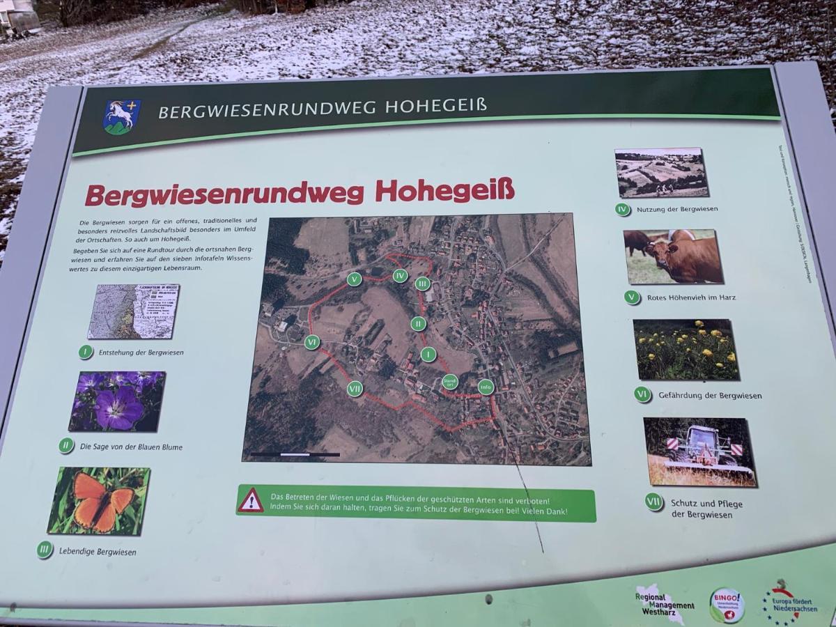 Gemuetliche Ferienwohnung Harz Braunlage Hohegeiss Zewnętrze zdjęcie