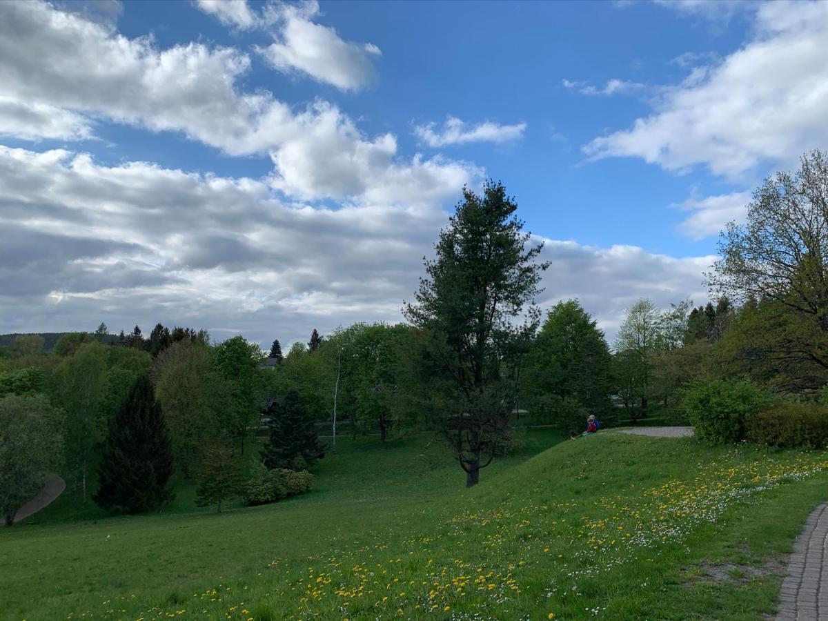 Gemuetliche Ferienwohnung Harz Braunlage Hohegeiss Zewnętrze zdjęcie