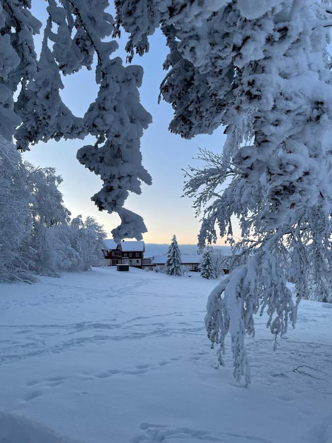 Gemuetliche Ferienwohnung Harz Braunlage Hohegeiss Zewnętrze zdjęcie