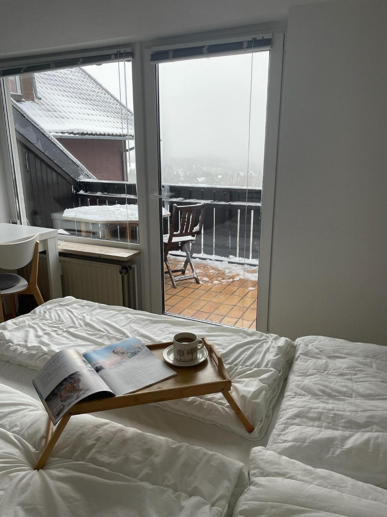 Gemuetliche Ferienwohnung Harz Braunlage Hohegeiss Zewnętrze zdjęcie